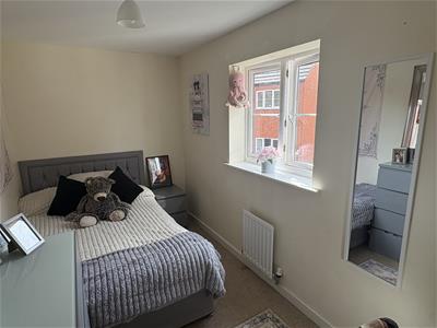 Picture 13